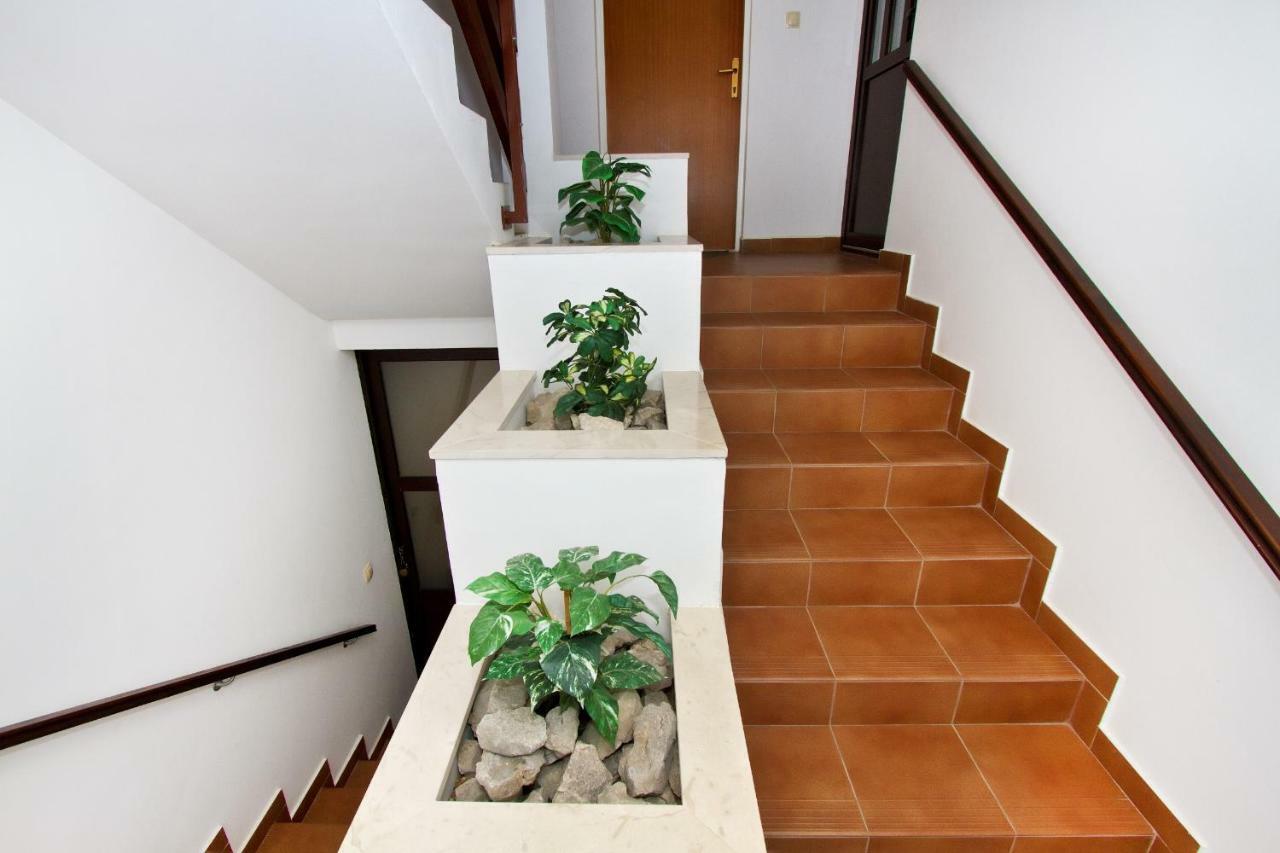 Apartments Antunovic ロゴズニッツァ エクステリア 写真